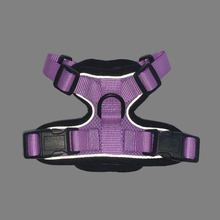 Load image into Gallery viewer, Mr. Peanut&#39;s PurrTrek Reflective Cat Harness with Matching Leash
