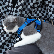 Load image into Gallery viewer, Mr. Peanut&#39;s PurrTrek Reflective Cat Harness with Matching Leash
