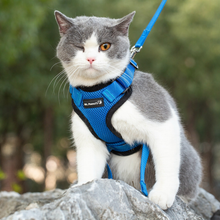 Load image into Gallery viewer, Mr. Peanut&#39;s PurrTrek Reflective Cat Harness with Matching Leash
