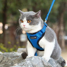 Load image into Gallery viewer, Mr. Peanut&#39;s PurrTrek Reflective Cat Harness with Matching Leash
