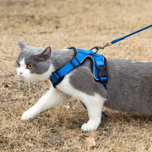 Load image into Gallery viewer, Mr. Peanut&#39;s PurrTrek Reflective Cat Harness with Matching Leash
