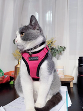 Load image into Gallery viewer, Mr. Peanut&#39;s PurrTrek Reflective Cat Harness with Matching Leash
