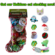 Load image into Gallery viewer, Catnip Cat Toys (12 Pack)
