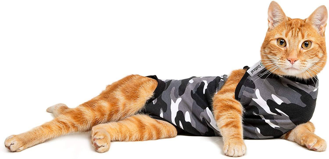 Cat Recovery Suit