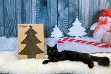 Load image into Gallery viewer, Christmas Tree Cat Scratch Board
